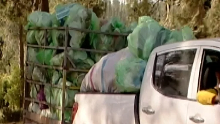 פסולת שנאספה בכינרת לאחר חול המועד פסח