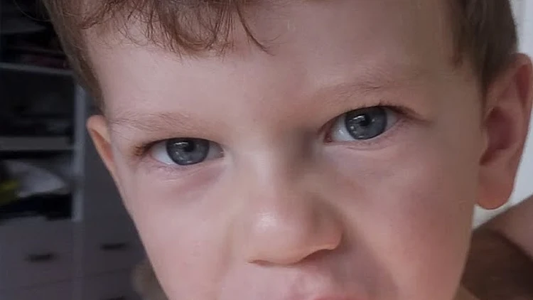 מיכאל פרת לטור של רוני