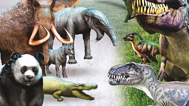 בן אל תבורי