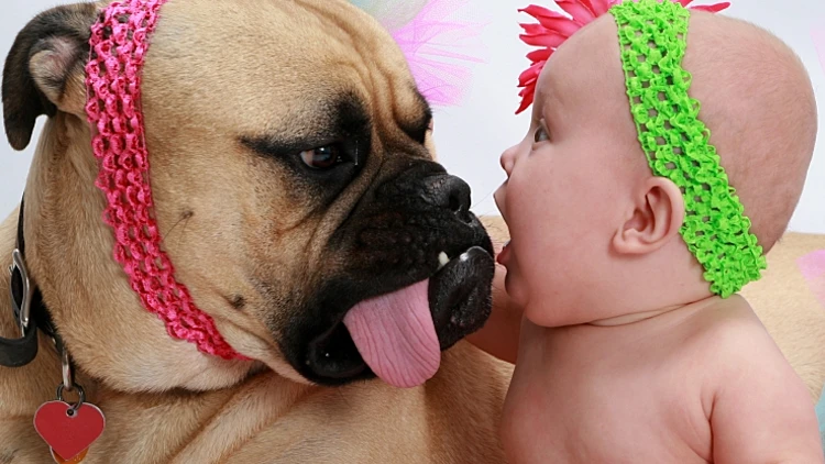 הם מפחדים: פחדים נפוצים אצל ילדים