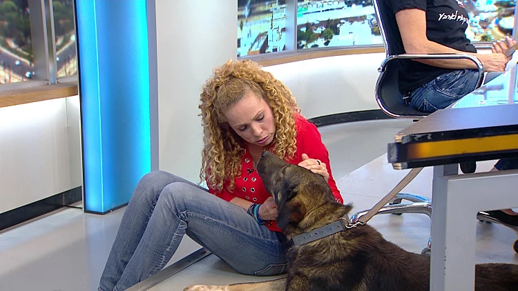 אורלי וגיא 02.05.18