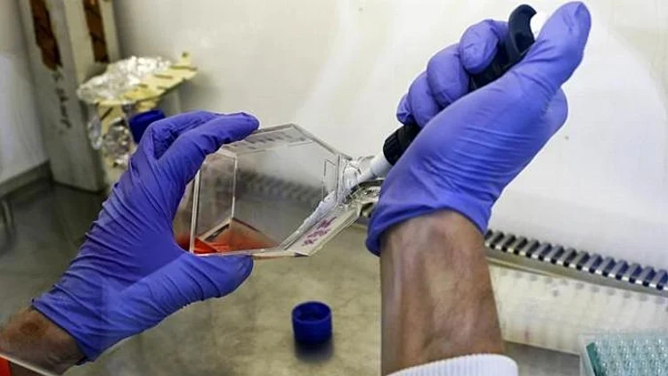 מדען בוחן תא סרטן במעבדה