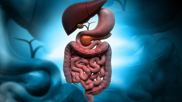 כירורגיית לבלב וכבד