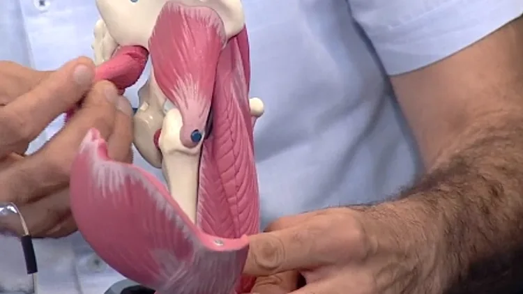 הדגמת החלפת מפרקי ירך - חיים בריא