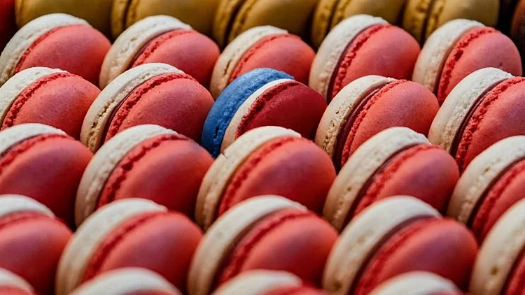 תסלחו לי על הצרפתית שלי, צילום Egor Lyfar