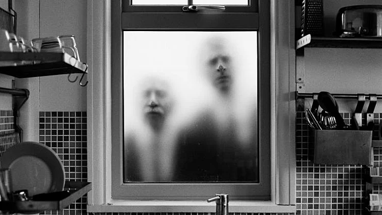 מתוך הפסטיבל