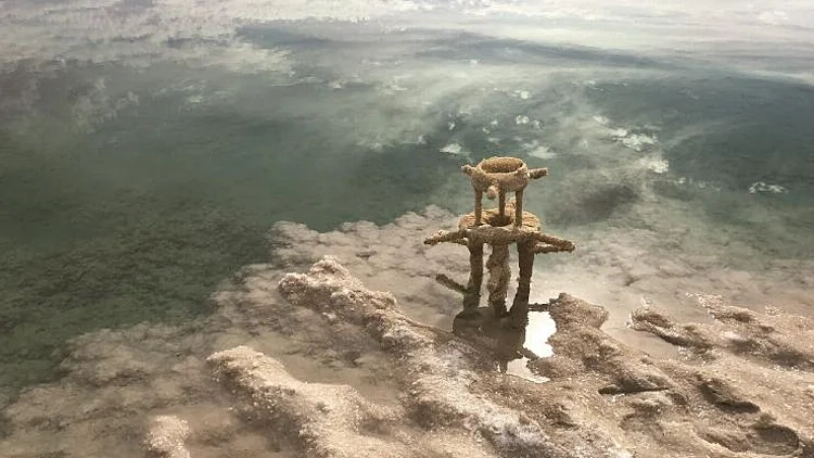 מתוך פרויקט bleached, ארז נבי פאנה