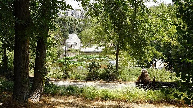 אדריכל הנוף שלמה אהרונסון הלך לעולמו לפני סוף השבוע