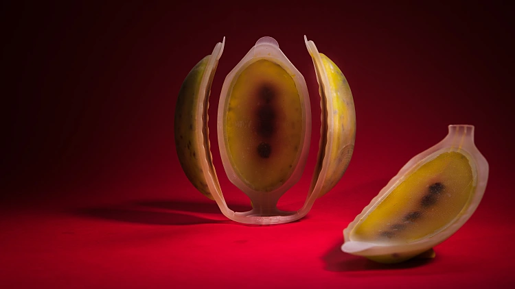 זיכרון קולקטיבי, מידן לוי