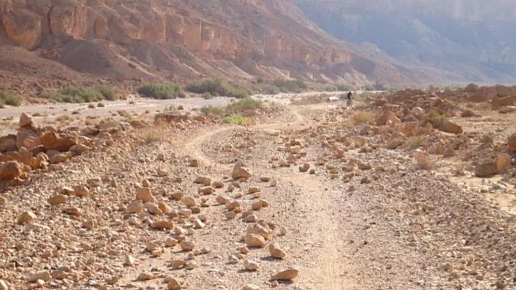נחל נקרות באזור מכתש רמון בנגב