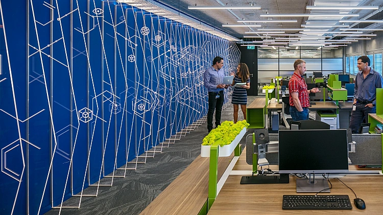 משרדי ג'ביל אופטיקס, סתר אדריכלים