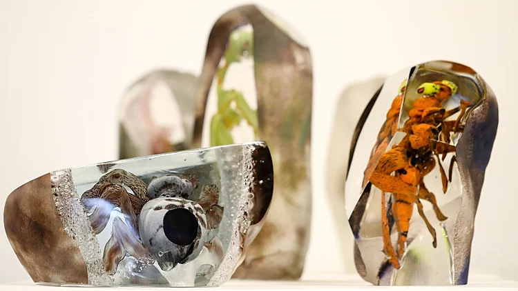 צבע טרי 2018, ביתן העיצוב, אולה ברנר