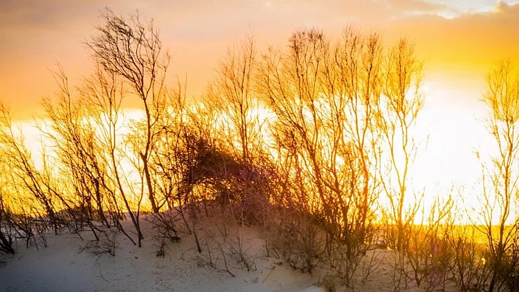דבר מן המדבר