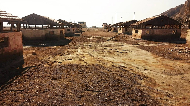 ג'קי פערל (ישראל), אשתלוט (2018)