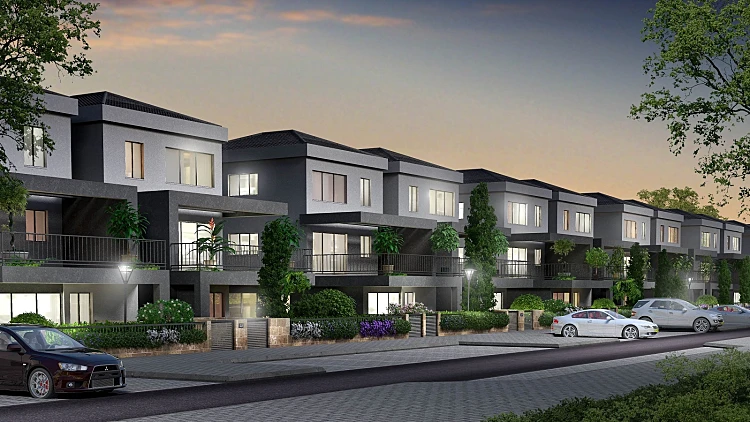 הדמיה לילית - פרויקט יערית בשלומי