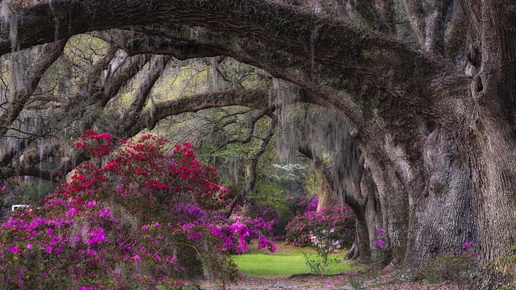 תערוכת צילום של איש העסקים המפורסם