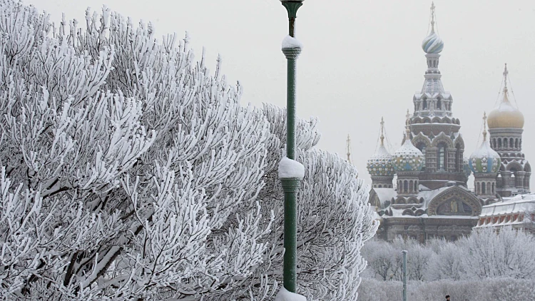 סנט פטרסבורג