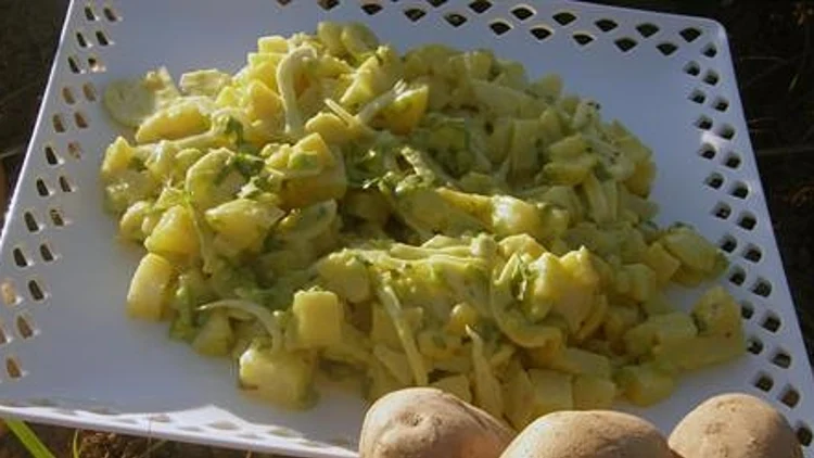 סלט תפוחי אדמה על כיריים אינדוקציה