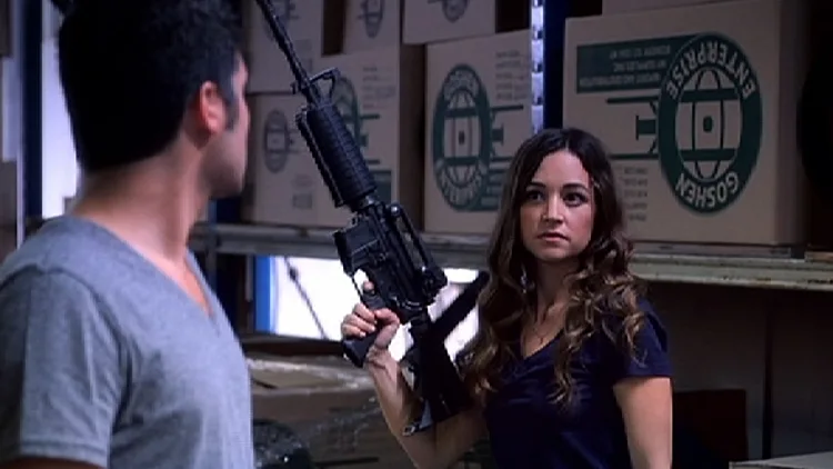 מתוך הסדרה ניו יורק YES