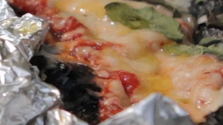 חציל פרמזן של איילת הירשמן תוכנית 8