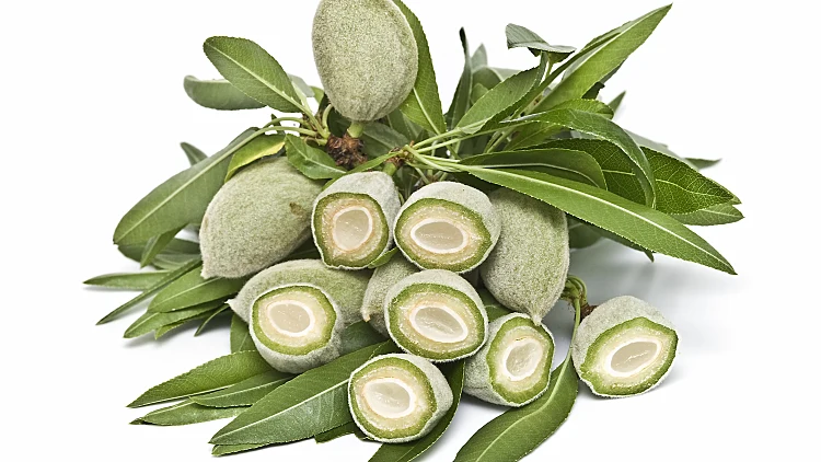 סלטים • 2 מתכונים עם שקדים ירוקים