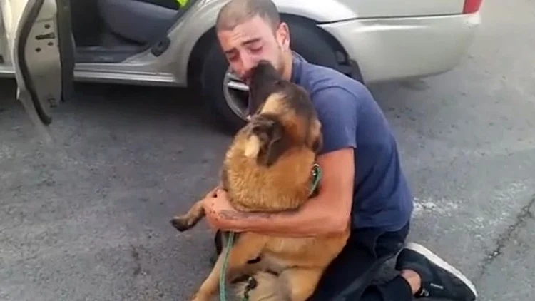 מבצע החילוץ המטורף של הכלבה שנחטפה עבור כופר