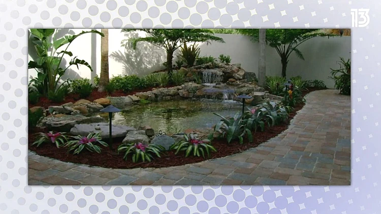 הטרנדים החמים בעולם הגינות