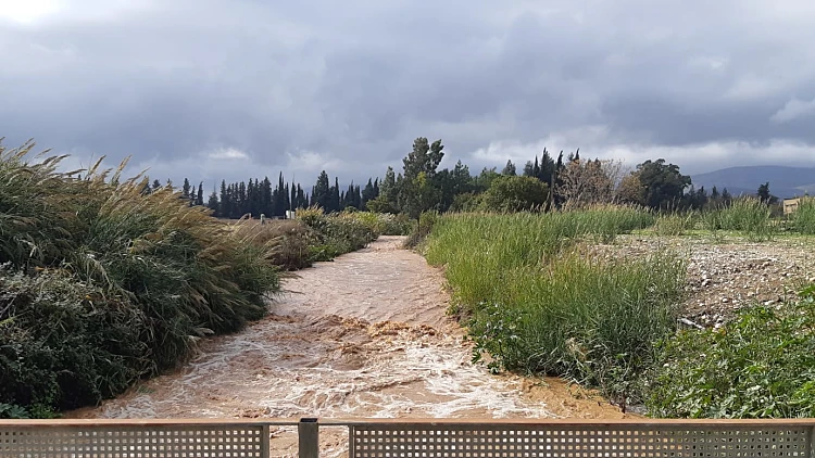 התחזית: עלייה בטמפרטורות - לקראת מערכת גשם נוספת בשבת