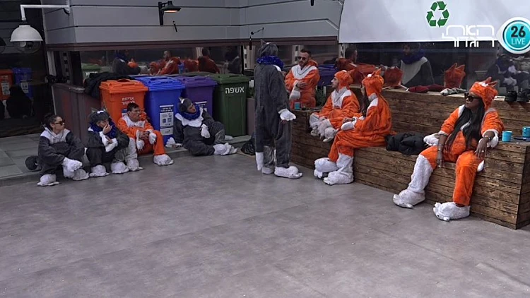 הדיירים בחצר