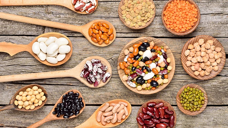 טופ פייב: 5 מוצרים שכל טבעוני צריך בבית | רשת 13