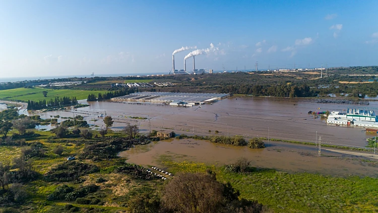 שדותיו של דודו מיכאלי שהוצפו