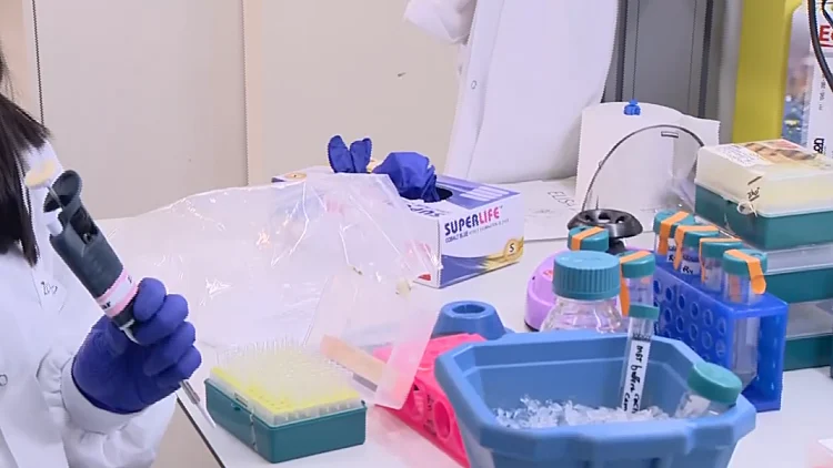 לא רק פיתוח חיסון: כך התגייס עולם המחקר לפענוח בדיקות קורונה