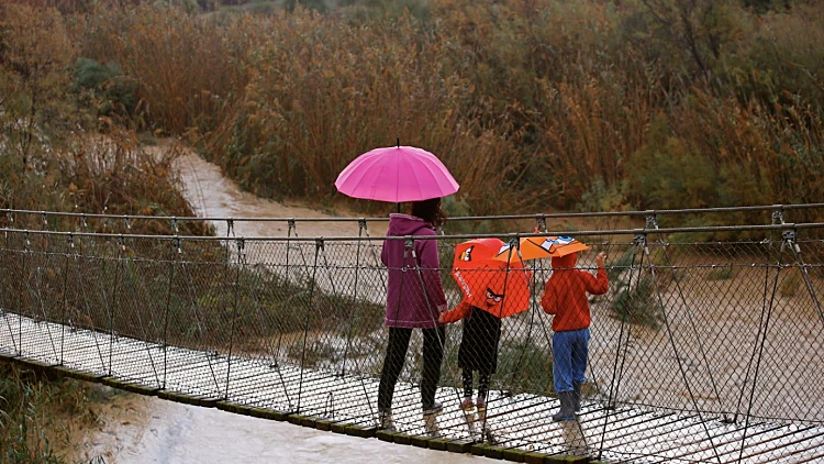 התחזית: סיכוי לגשם מקומי במרכז ובדרום; בשבת: התחממות