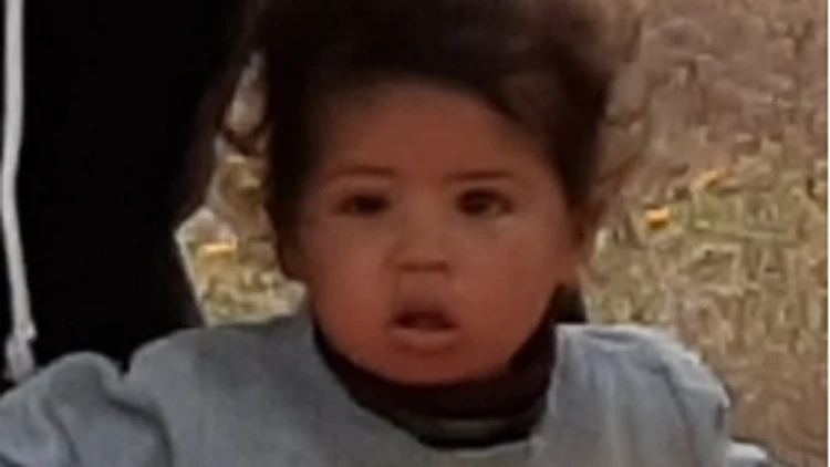 בושרה אבו לקימה, מתה מנשיכת כלב