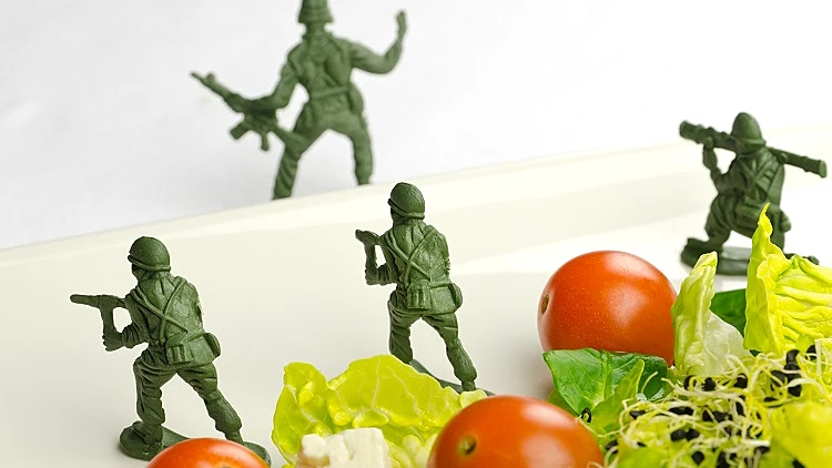 דיאטה צבאית, מותר גלידה