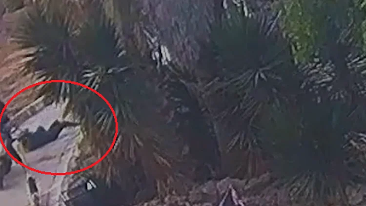 תיעוד מיפו: שני אחים על אופנוע שודדים באלימות תיק מצעירה