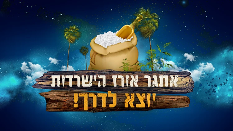 אורז הישרדות
