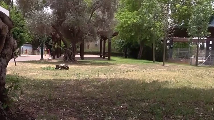 נתפס, נמלט – ונלכד שוב: תיעוד מעצר החשוד באונס ברמת השרון