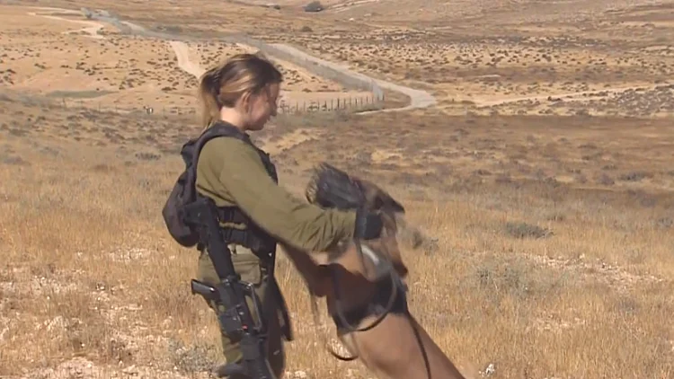 הנשק החדש של צה"ל נגד גניבות מבסיסים בדרום - כלבי גישוש