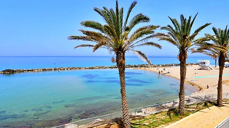 "בואו להתחתן אצלנו": מבצע חתונה בצל הקורונה