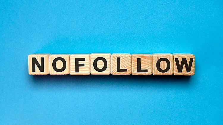 קישורי nofollw