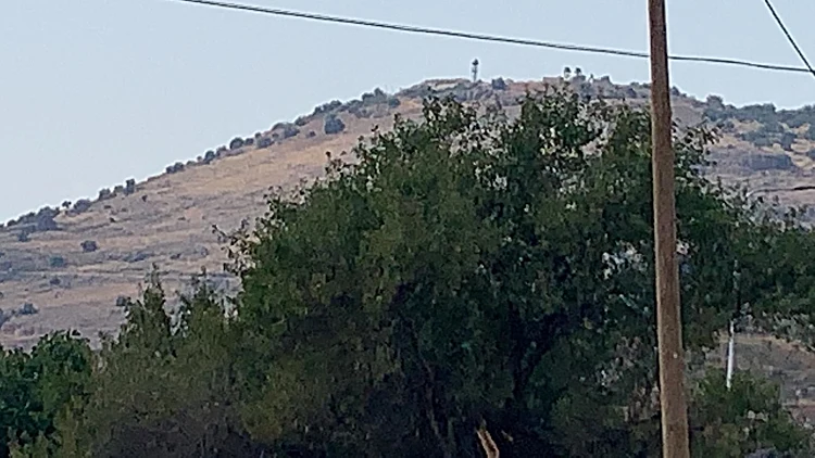 חזבאללה הכחיש התקרית בצפון: "עוד נגיב על מות הפעיל בסוריה"