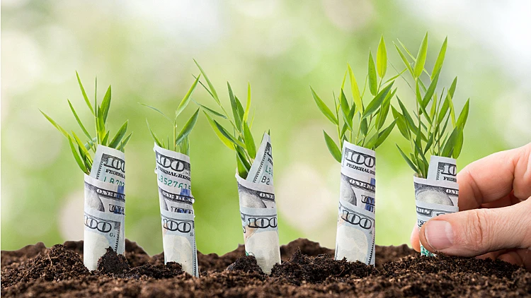 חברות הלוואות חוץ בנקאיות – כיצד לחפש ולמצוא אותן בצורה נכונה | רשת 13