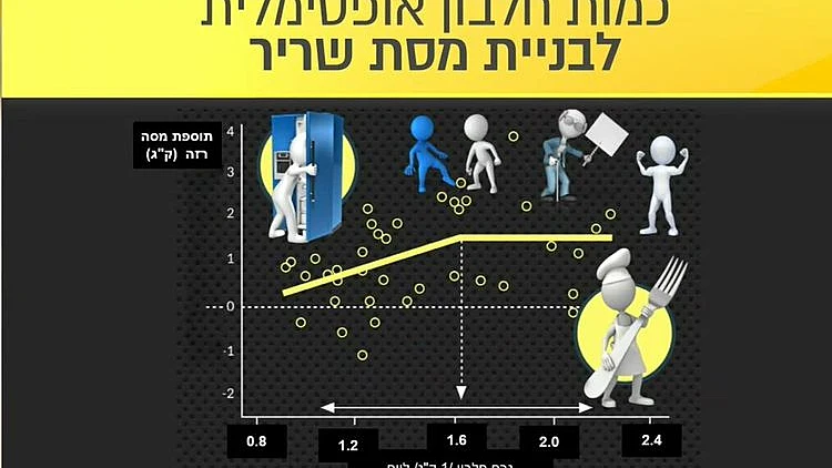 הדרך הנכונה ביותר לצרוך חלבונים ולראות תוצאות