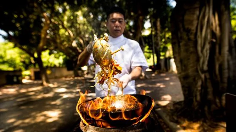סיונרה: האנציקלופדיה של הסושי בישראל | רשת 13