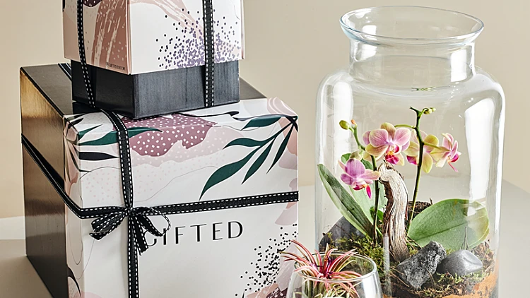 GIFTED : מצאנו את המתנה הייחודית | רשת 13