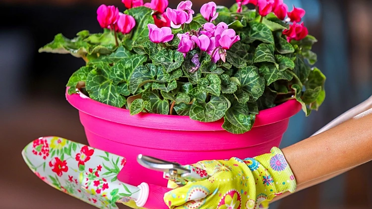 גן עדן לנפש – פינת קסם שלא הכרתם | רשת 13