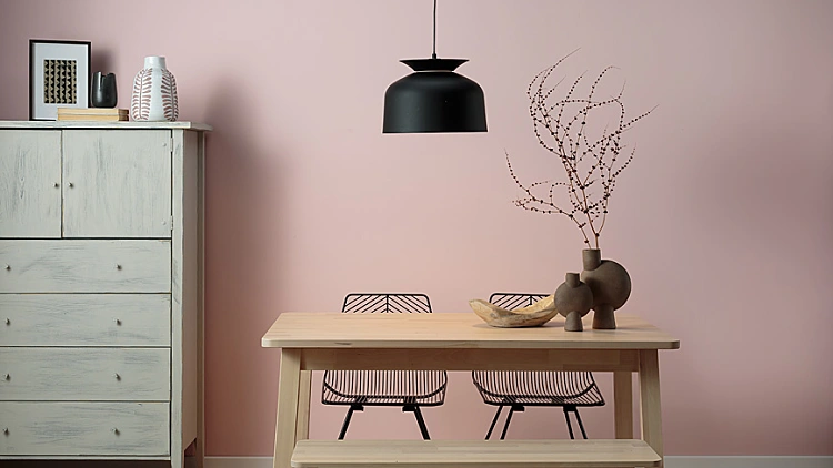 eco2 – בית בריא מתחיל עם אוויר נקי | רשת 13