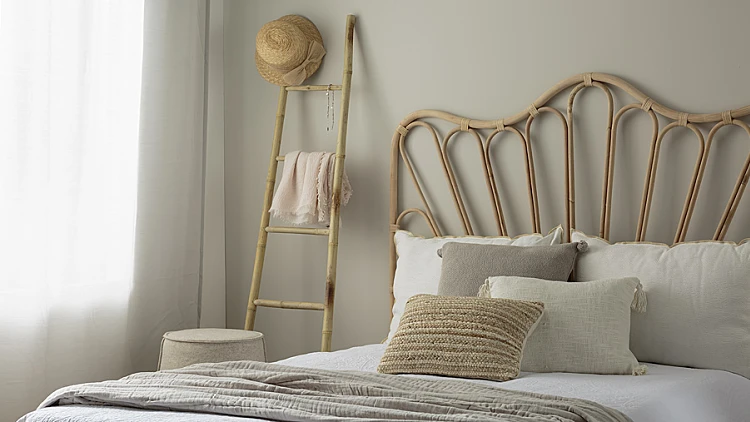 טמבור: צבע אקולוגי | רשת 13