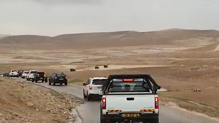 ציידי השיטפונות שמוכנים לסכן את חייהם בשביל תמונה מוצלחת